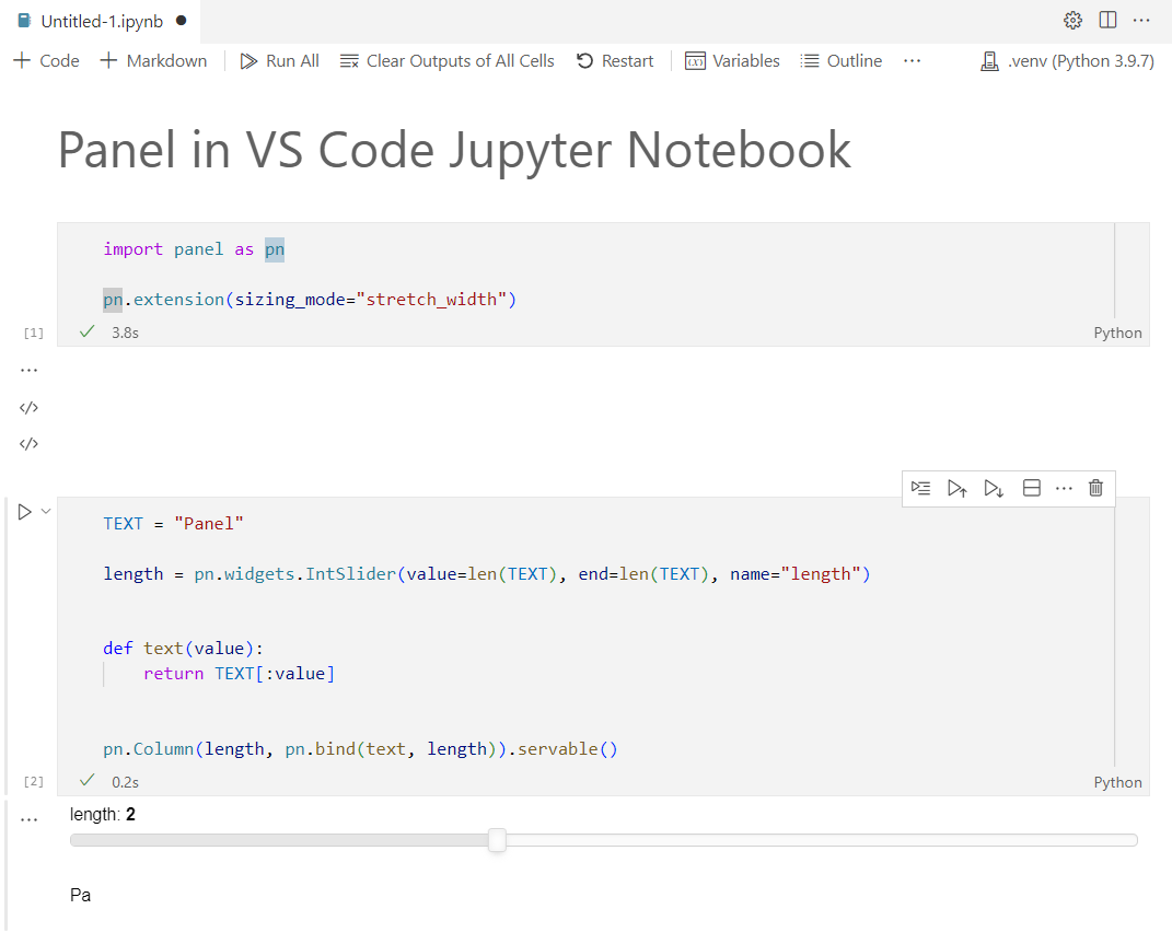 Panel in VS Code Notebook Environment
