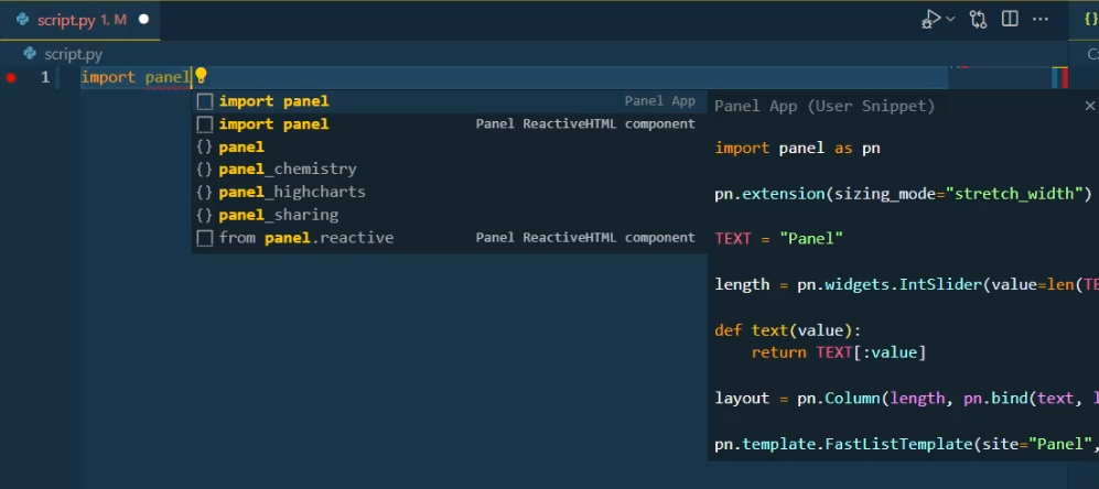 Panel VS Code Snippets